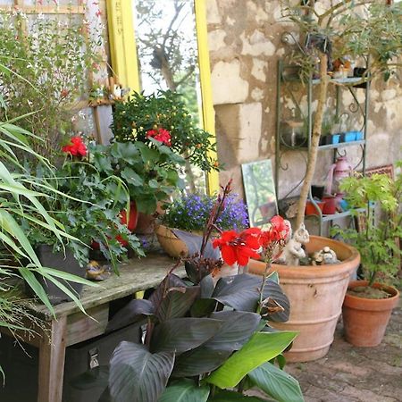谢尔河畔努瓦耶Les Petites Mirabelles住宿加早餐旅馆 外观 照片